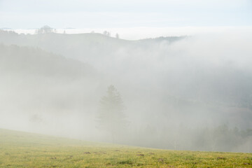 wafts of fog in the mountains of Austria