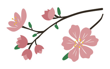 Abstract cherry blossom flowers vector clipart.
