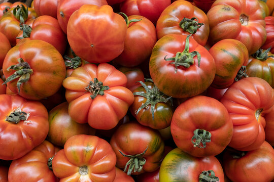 Oversized heirloom tomatoes in a pile at the Farmers' Market, beautiful fresh vegetable with an exceptional taste and culinary versatility preferred for their crisp texture, rich flavour and juiciness