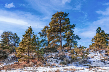 Backroad to Roundup Montana
