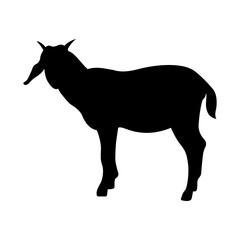 Vector icon illustration of goat kid silhouette isolated on white background.