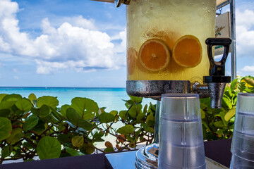 A fresh water dispenser with fruit on Paynes bay beach with a turquoise sea in the background along...