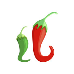 Image of red chili and cayenne pepper isolated on white. Flat vector design.