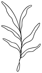 Leaf Line Art | Delicate Leaves