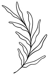 Leaf Line Art Fern