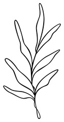 Leaf Line Art