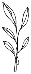 Leaf Line Art