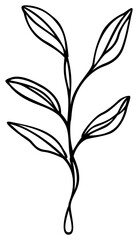 Leaf Line Art