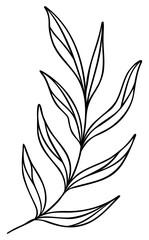 Leaf Line Art