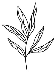 Leafy Branch Line Design