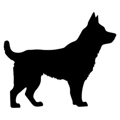 Standing akita dog, akita dog monochrome clip art. Vector illustration