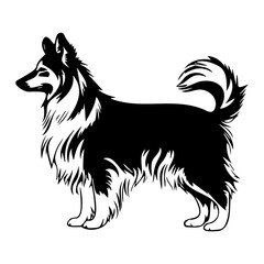 Fototapeta premium Standing Shetland Sheepdog Dog, Shetland Sheepdog Dog monochrome clip art. Vector illustration
