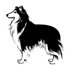 Standing Shetland Sheepdog Dog, Shetland Sheepdog Dog monochrome clip art. Vector illustration