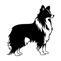 Fototapeta premium Standing Shetland Sheepdog Dog, Shetland Sheepdog Dog monochrome clip art. Vector illustration