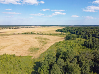 Fototapeta na wymiar Green deciduous forest next to a farm field. Landscape from a bird's eye view. Sunny weather.