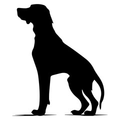 Standing Vizslas Dog, Vizslas Dog monochrome clip art. Vector illustration