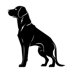Standing Vizslas Dog, Vizslas Dog monochrome clip art. Vector illustration