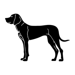 Standing Vizslas Dog, Vizslas Dog monochrome clip art. Vector illustration