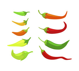 Collection of assorted chili peppers isolated on white. Flat vector design.