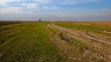 Fototapeta premium A vast open space with greenery and a dirt path marked by vehicle tracks.