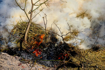 A fire burns bright, consuming dry branches and grass.
