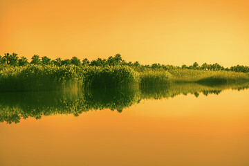 Lakeshore with grass and clear sky during sunset. Reflection in the lake. Nature background