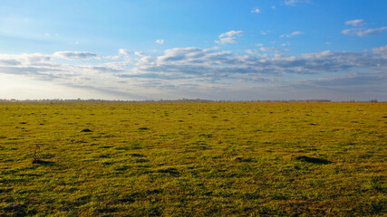 Open grassland, clear skies, and distant horizon.