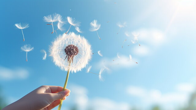 Close up photo of woman hand holding a white fluffy dandelion in front of the sun with Generative AI