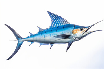 Fototapeta premium Marlin isolated on a white background. Animal side portrait.