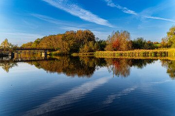 A Tranquil Lake Reflecting a Canopy of Trees and a Serene Bridge. A body of water surrounded by trees and a bridge