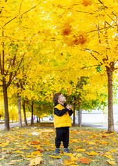 Little Boy in a Yellow Jacket Standing Under a Tree