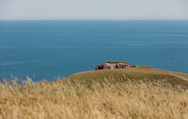 vue en hauteur sur une colline recouverte de gazon vert en bord de mer lors d'une journée d'été