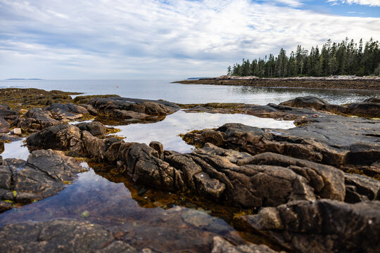 Maine coast line with ocean and rocks and trees