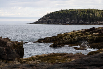 Maine coast line with ocean and rocks and trees