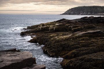 Maine coast line with ocean and rocks and trees