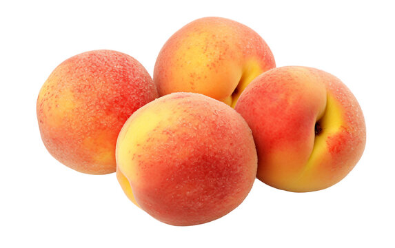 Plump Orange Peaches with Fuzzy Skin Isolated on Transparent Background PNG.