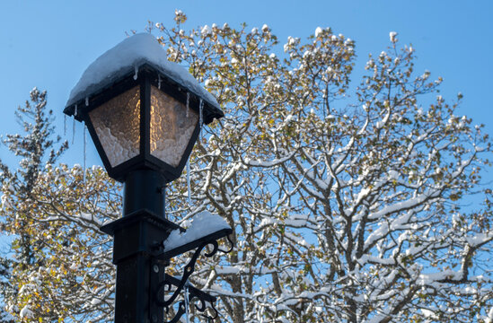 lantern in the snow