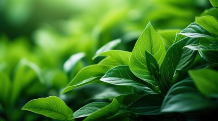 Textures of Life: Nature's Intimate Portraits
