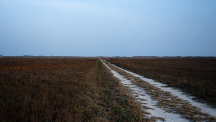 Fototapeta na wymiar White sandy tracked path leading to the horizon through the grass on barrier island of the Gulf coast; on cloudy day concept of road less traveled or broken road