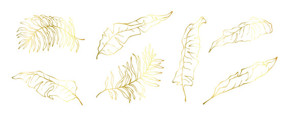 Golden linear sketches of tropical leaves.Decorative botanical elements.Vector graphics.