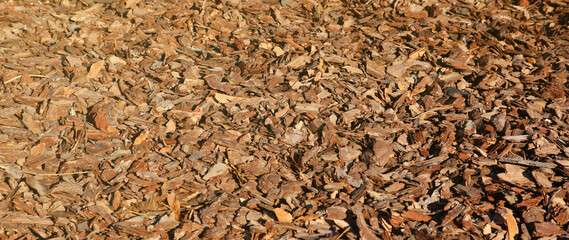 Full frame closeup of brown mulch used for gardening and landscape decoration. Texture of Birch...