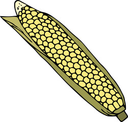 Image of corn on a transparent background