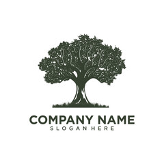 Obraz premium Oak maple for tree services, Arborist Tree Service