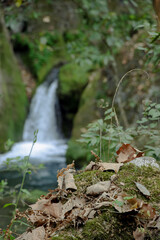 Cascada fresca