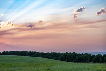 Sunset over the grass field