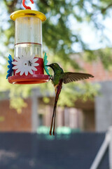 aves al natural © Juanif16