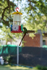 aves al natural © Juanif16