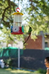 aves al natural © Juanif16