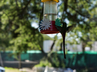 aves al natural © Juanif16