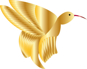 gold ribbon isolated on white